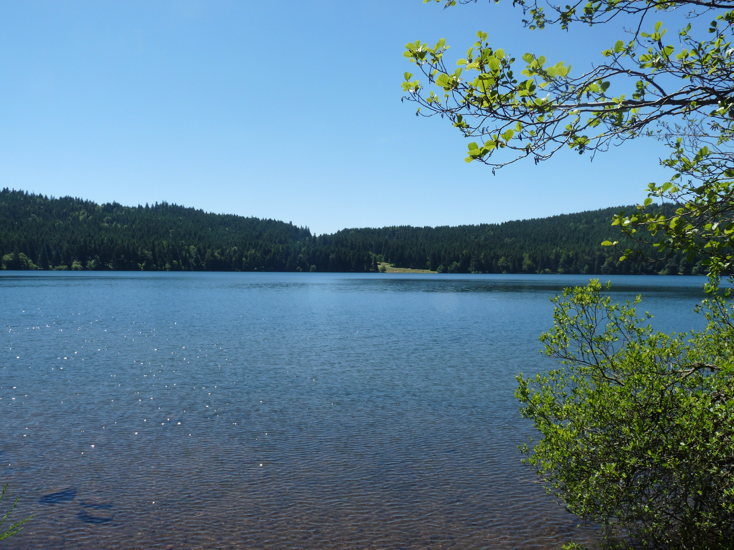 Programme d'animations estivales au lac du Bouchet