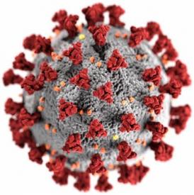 Coronavirus : Aides pour les entreprises - Coronavirus : Aides pour les entreprises Coronavirus : Aides pour les entreprises - Coronavirus : Aides pour les entreprises