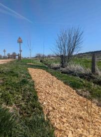 Plantations arbres et haies - Plantations arbres et haies 2 Plantations arbres et haies - Plantations arbres et haies 2